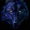������ ������� dark wolf